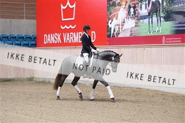 175166_kbb_01_R6II0119.JPG