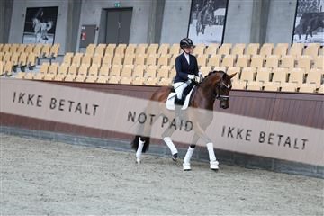 181852_mtp_01_R62_1398.JPG
