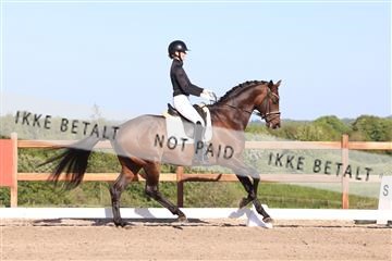 181449_bc_01R62_6335.JPG