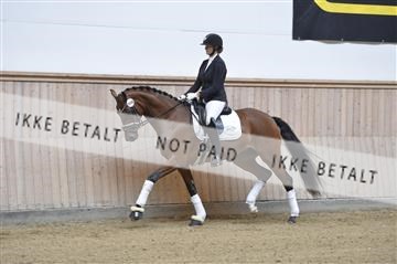 160111_nn_01__ESK1789.JPG