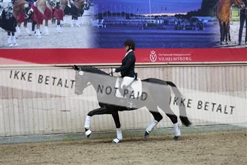 181887_mtp_05_R62_9659.JPG
