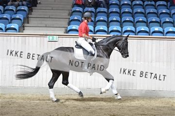 160111_nn_01__ESK2177.JPG