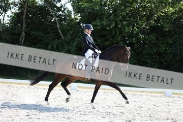 172073_mtp_01_3M5A4746.JPG