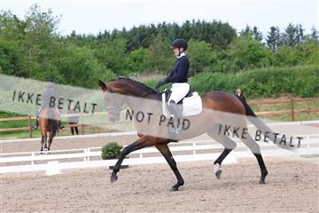 181449_bc_01R62_6627.JPG