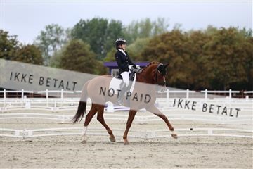 181923_mtp_01_R62_6443.JPG