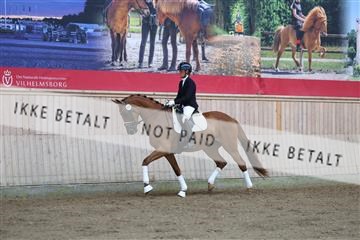 181887_mtp_02_R62_7432.JPG