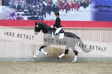 181887_mtp_04_R62_9239.JPG