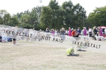 181848_kar_01__62_3700.JPG