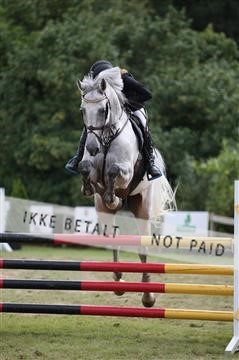 152528_nn_01_IMG_3490.JPG