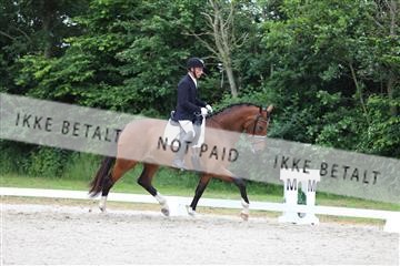 172073_mtp_01_3M5A3032.JPG