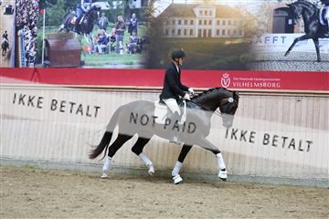 181887_mtp_05_R62_9404.JPG