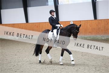 175681_avh_01_R62_0487.JPG