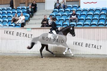 181887_mtp_04_R62_8975.JPG