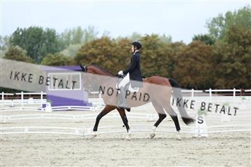 181923_mtp_01_R62_6790.JPG