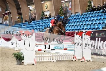 175934_avh_01_5919.JPG