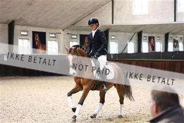 181243_avh_01_2353 (1).JPG