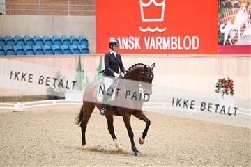 174186_kbb_01_R6II4483.JPG