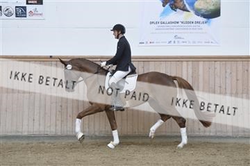 160111_nn_01__ESK2099.JPG