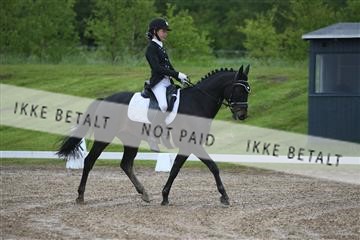 147698_nn_01_IMG_8747.JPG