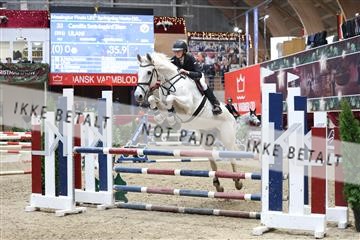 178262_avh_01_0073.JPG