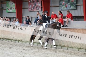 181867_mtp_01_R62_4106.JPG