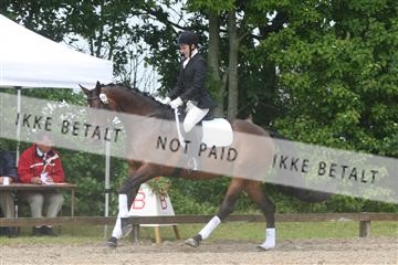 135518_ms_01_IMG_1243.JPG