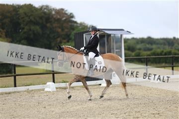 181894_mtp_04_R62_3708.JPG