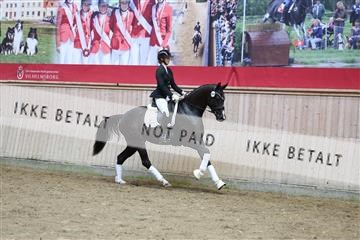 181887_mtp_04_R62_9293.JPG