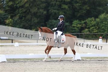 181894_mtp_01_R62_0427.JPG