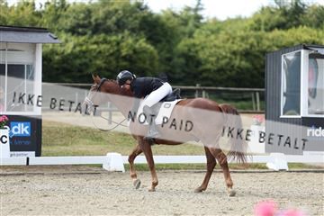 181894_mtp_05_R62_4707.JPG