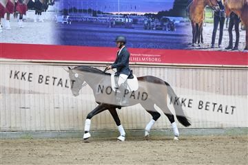 181887_mtp_04_R62_8393.JPG