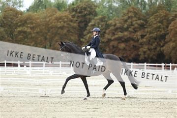 181923_mtp_04_R62_8565.JPG