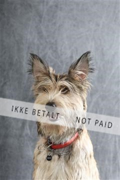 129608_le_ 01_0222.JPG