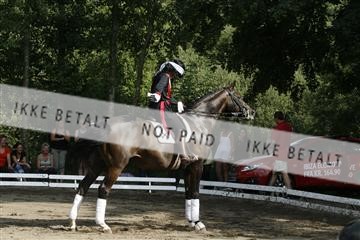 5925_gn_02__MG_7998.JPG