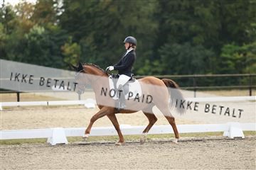 181894_mtp_02_R62_2082.JPG