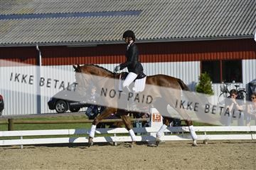 136195_abo_01__AB16591.JPG