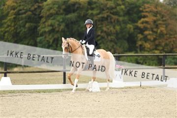 181894_mtp_04_R62_3394.JPG