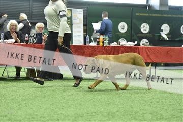 163793_bkn_01__BKN9501.JPG