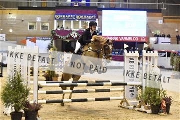 161006_abo_01__D052184.JPG