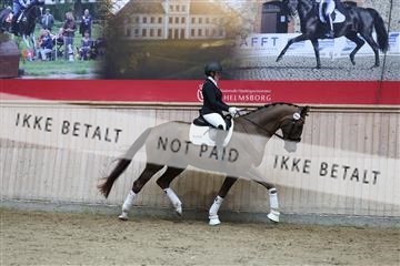 181887_mtp_02_R62_7795.JPG