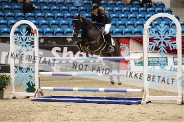 175934_avh_02_7842.JPG