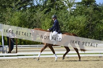 136195_abo_01__AB15966.JPG