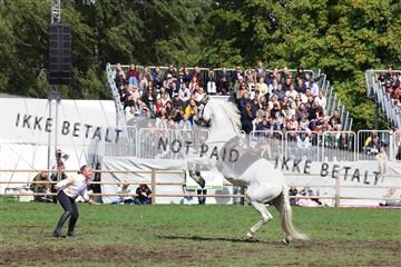 181962_mlm_01_R62_9890.JPG