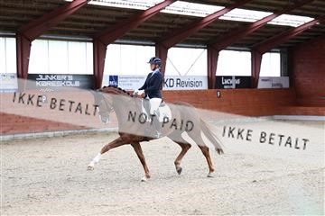 175442_kbb_01_R6II0107.JPG