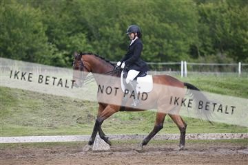 147698_nn_01_IMG_0259.JPG