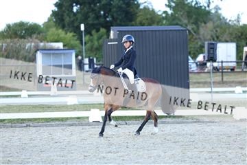 181894_mtp_05_R62_5470.JPG