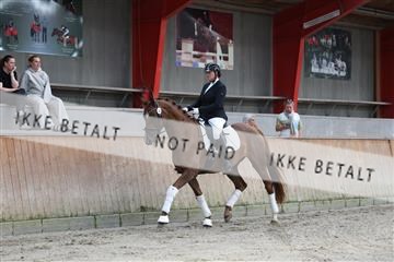 181867_mtp_01_R62_3760.JPG