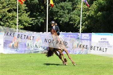 181805_mlm_02_R62_6890.JPG