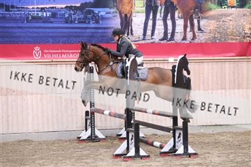 174047_kbb_01_R6II5672.JPG