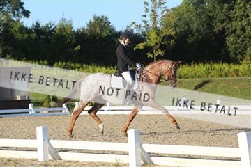 148862_sg_01_IMG_2216.JPG